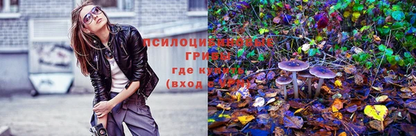 прущий лед Балахна