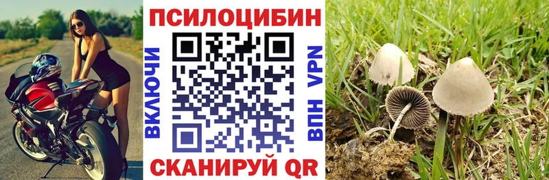 Купить где  Богучар  Псилоцибиновые грибы GOLDEN TEACHER 